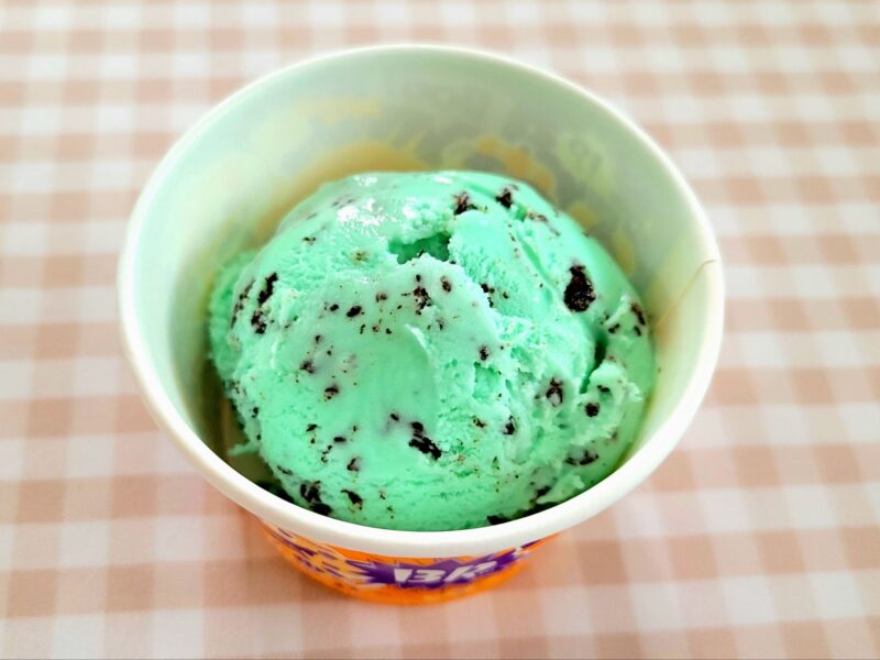 カップに盛られたチョコレートミントアイス
